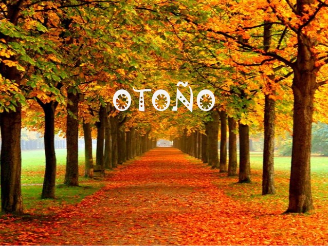 imagenes del otoño Otoc3b1o-con-buen-feng-hui